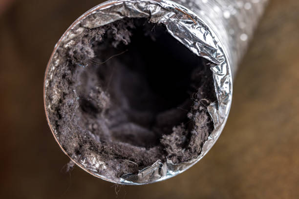 Best Affordable Duct Cleaning Services  in Sullivan, MO